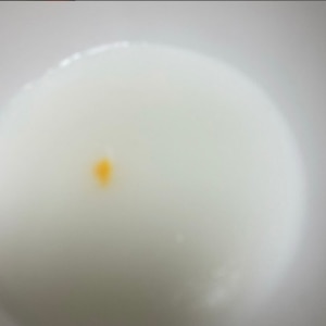 離乳食　★　初期～　★　たまごの卵黄